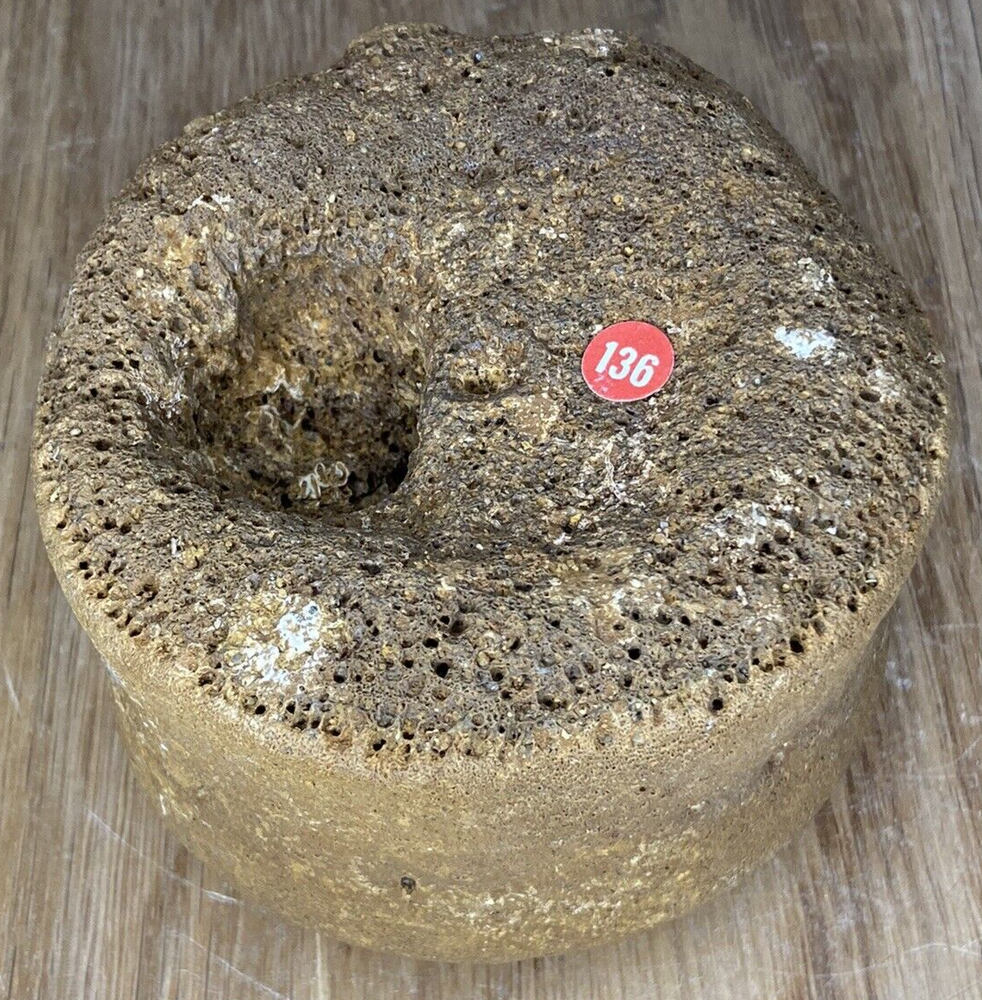 Fossil Specimen, Vertebrae, Lower Cretaceous, Berkshire, 85mm