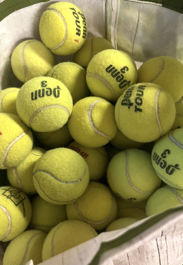 100 Used Tennis Balls, Dogs, Walkers, Schools