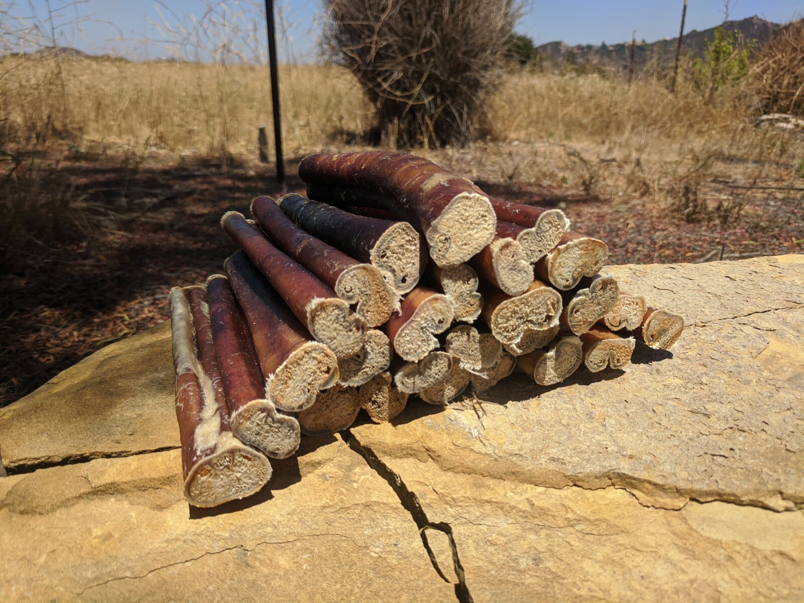 6" inch Black Angus JUMBO THICK BULLY STICKS natural dog chews treats USA SOURCE
