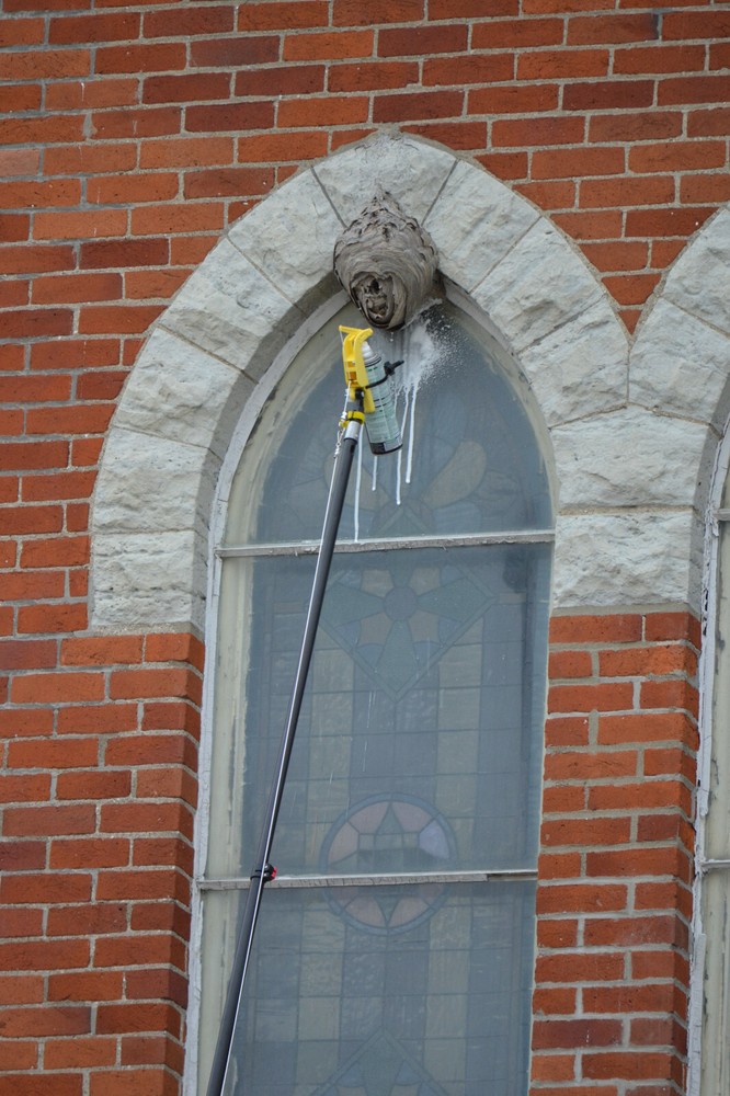 Gotcha Sprayer Pro Extension Pole Adapter. Trigger Wasp Spray, Tree Prune Spray