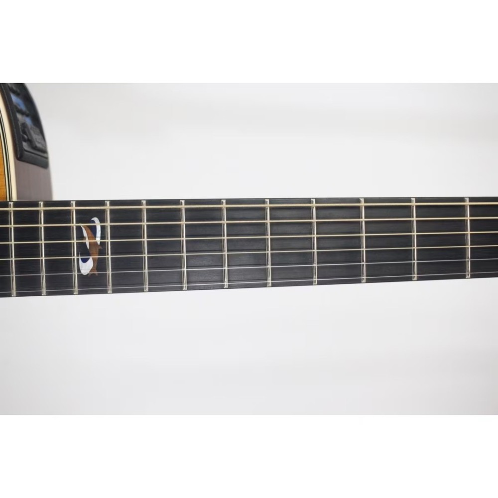 Takamine Ltd 2001 Dolphin No.YG855