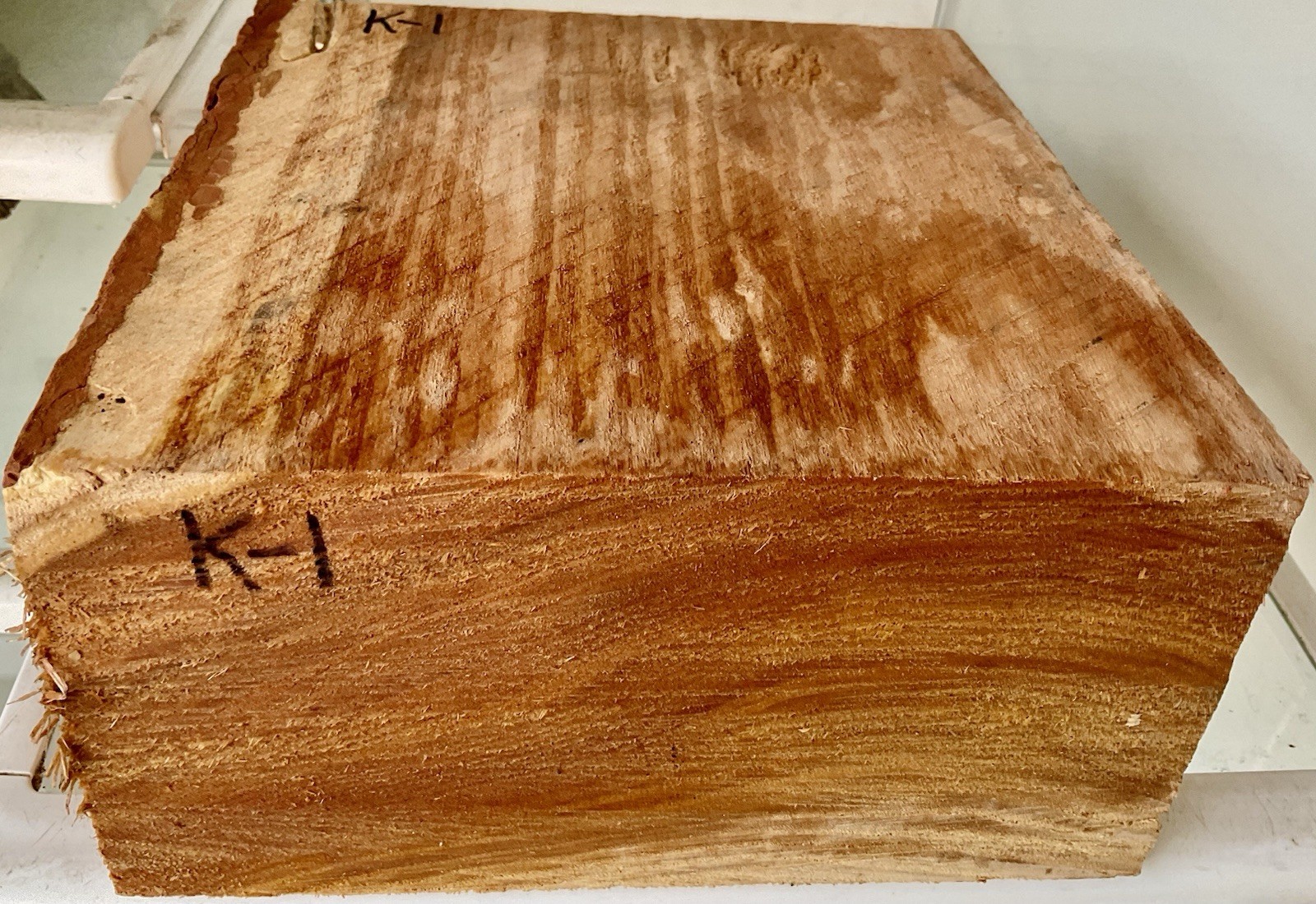 Kentucky coffee Bean fresh cut green Bowl Blank 1-pcs. 4 1/4”x8 1/2”x9” K-1