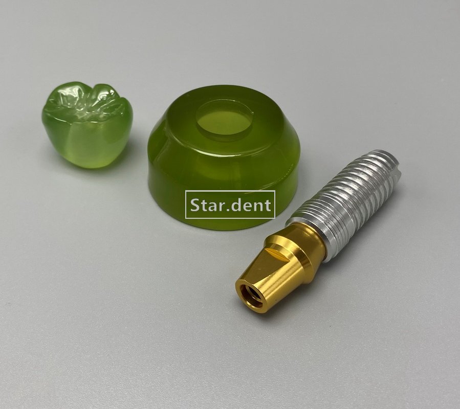 Dental Implant Teeth Model Detachable Abutment Crown Teaching Study Models