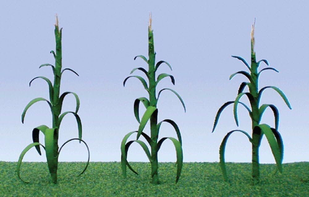 Flowering Plants, Corn Stalks, 1" Open Packaging