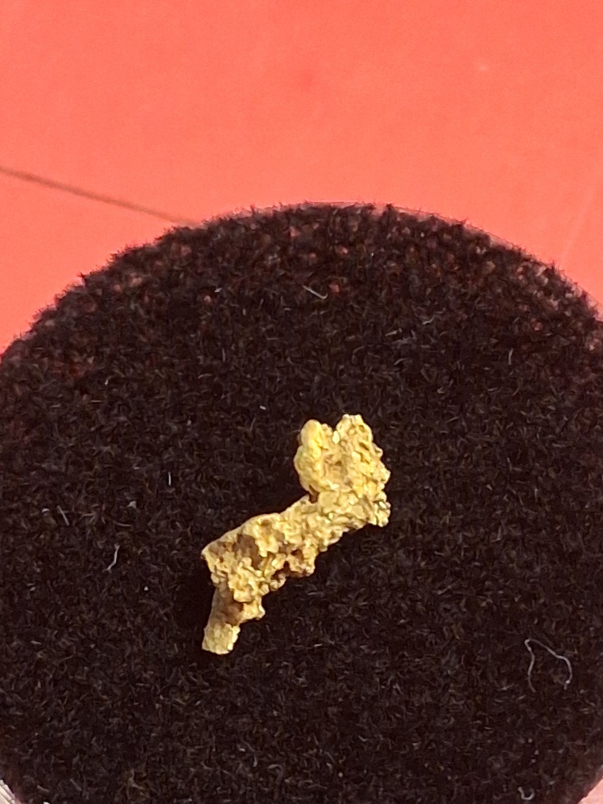 Crystalline Gold Nugget 0.294g from Kansas Twister Paydirt