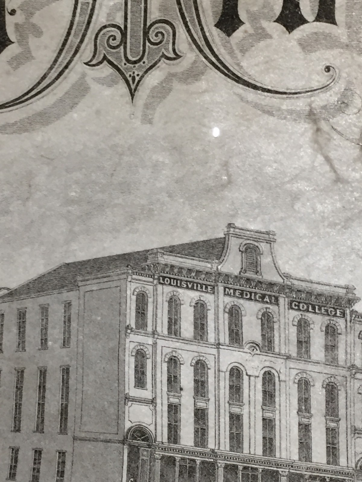 ANTIQUE 1881 LOUISVILLE MEDICAL COLLEGE DOCTOR DIPLOMA ON PARCHMENT GOOD