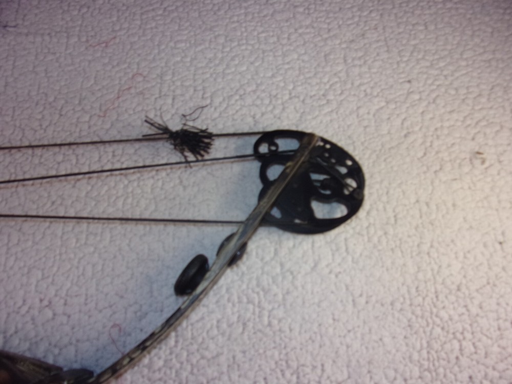 Darton Left Hand Compound Bow