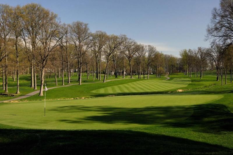 Crystal Links  Creeping Bentgrass Seeds - 4 Lbs.