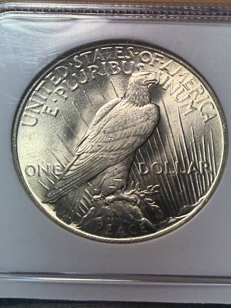 1925 Peace Dollar - NGC MS64 - PQ Gem - As Shown!