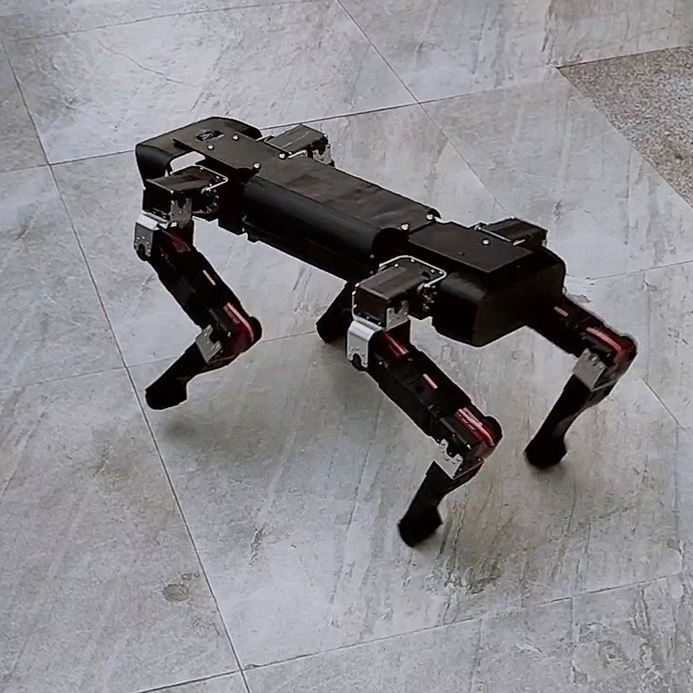 ROS Open Source AI Robot Dog Bionic big Quadruped Robot Basic RC Controller TZ