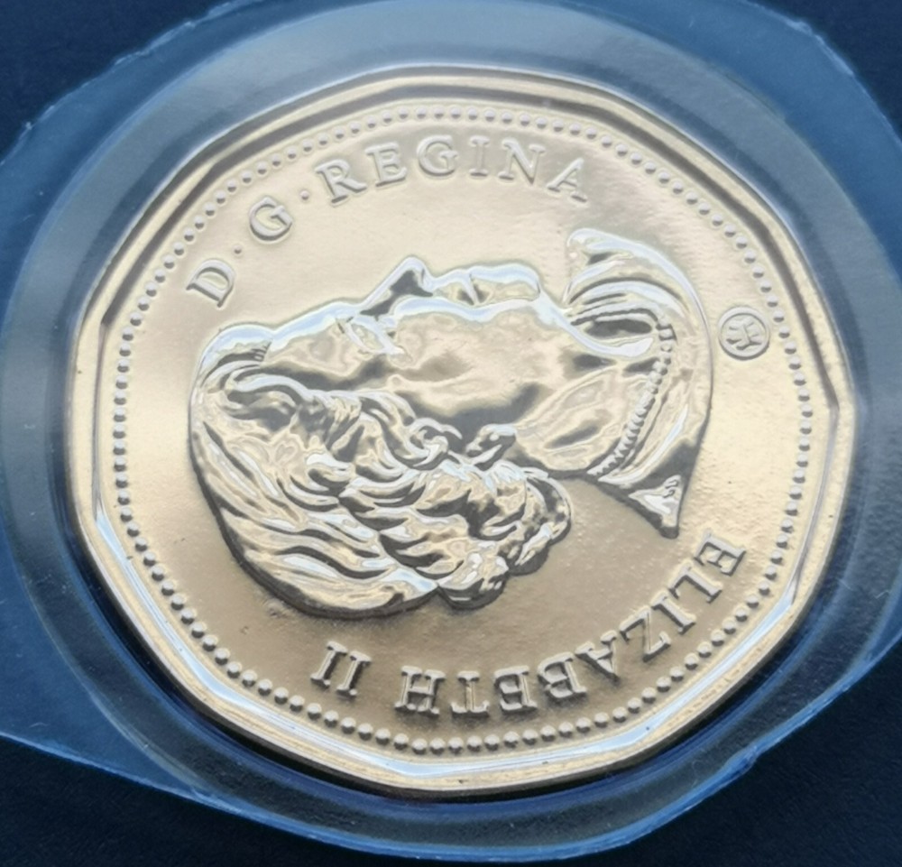 ***  CANADA   LOONIE  2010  ***  PROOF  LIKE  ***  TYPE 1   LARGE  BEADS  ***