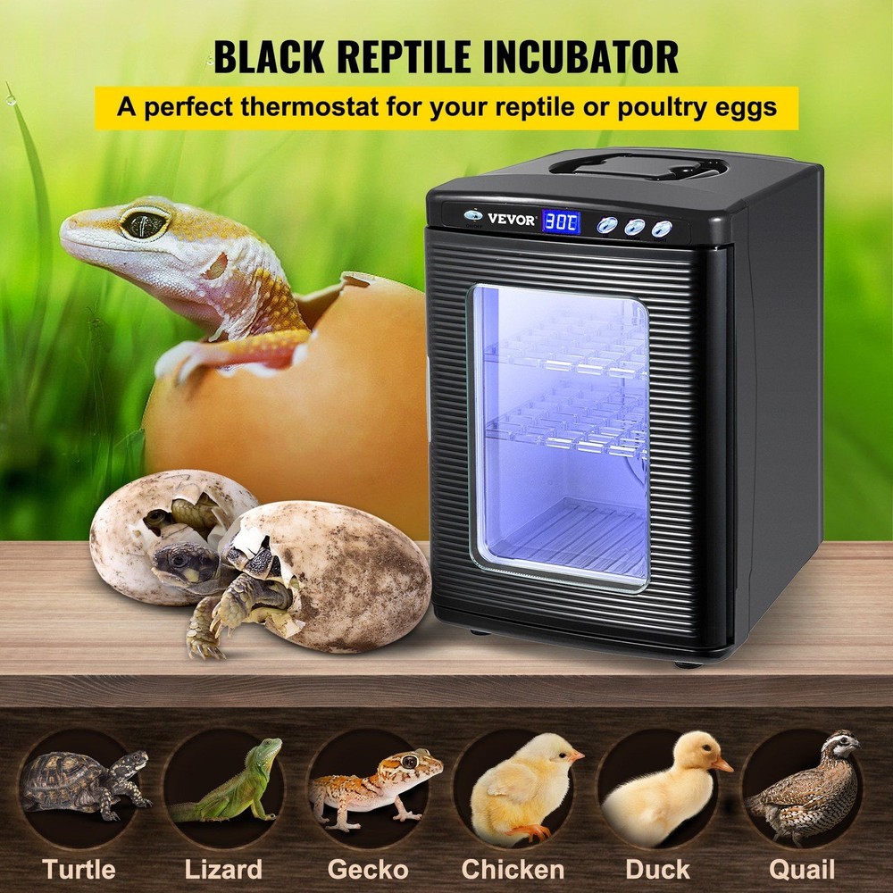 25L Multi Shelf Incubator Designed for Maximum Egg Storage Efficiency