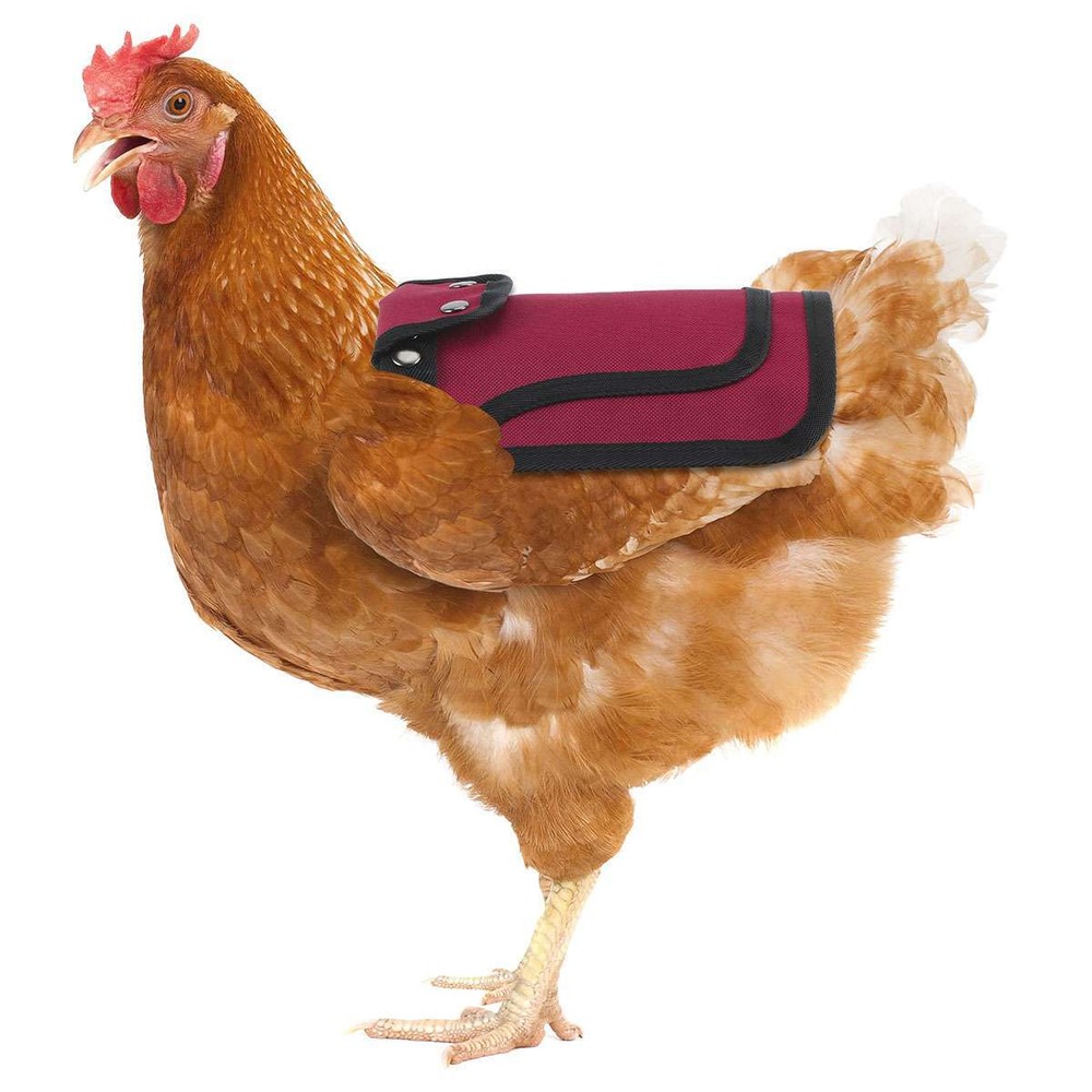 Chicken Protection Back Wing Protector Hen Chicken Saddle Back Apron Jacket Coat