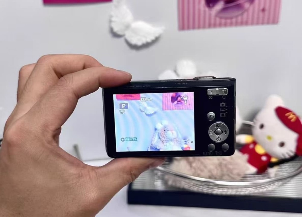 Sony Cyber-shot DSC-W730 Digital Camera fully functiona w Battery Charger
