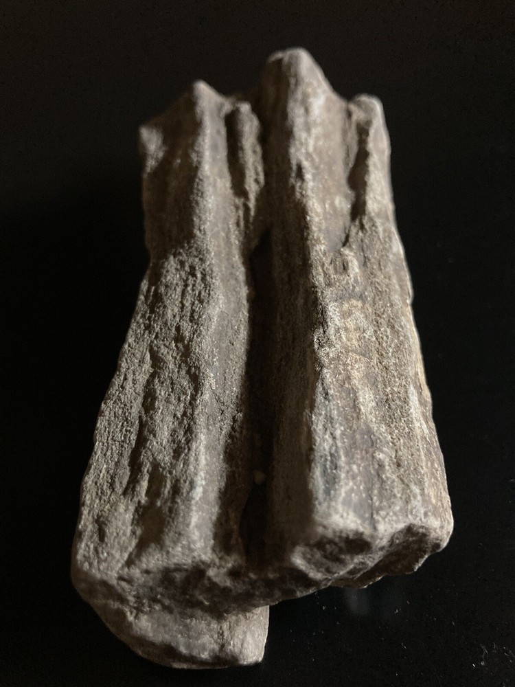 RARE SKYSCRAPER Design - HEAVY PETRIFIED WOOD