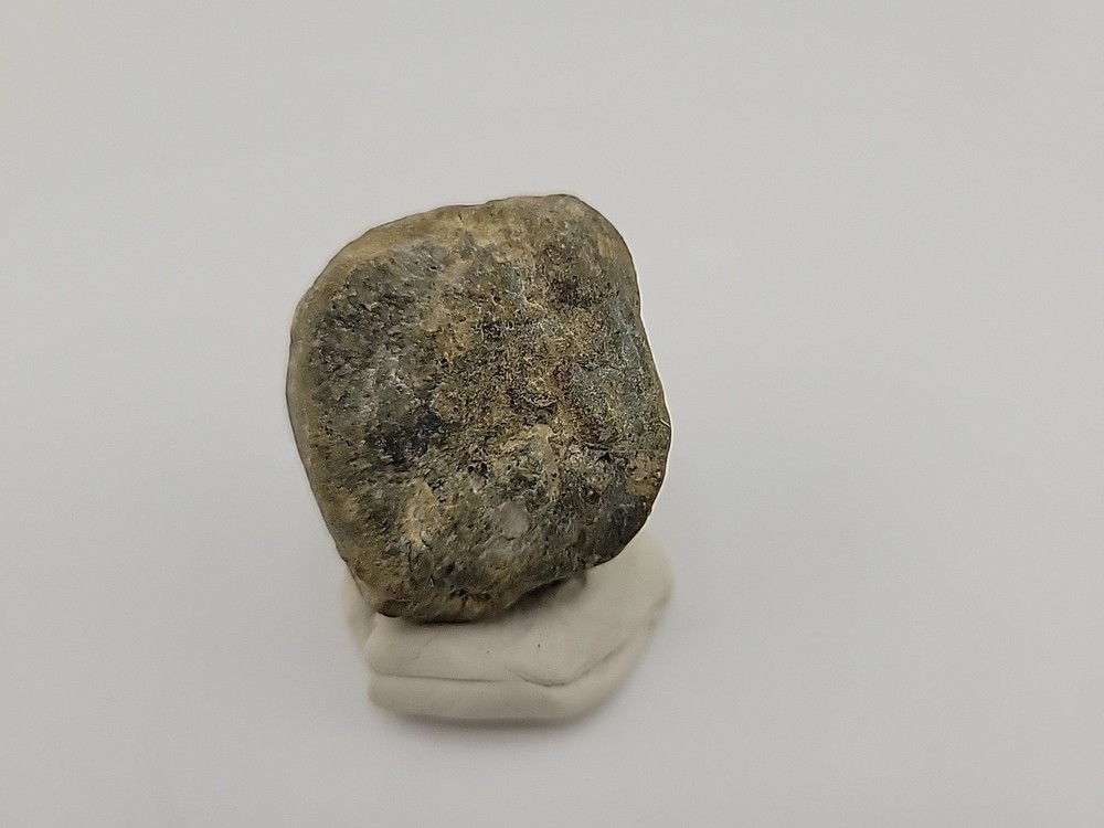 Real Permineralized Dinosaur Half Egg Embro Uv Reactive