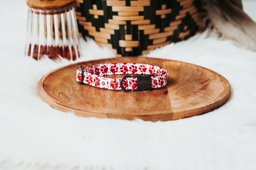 Western Paw Print Collar Large