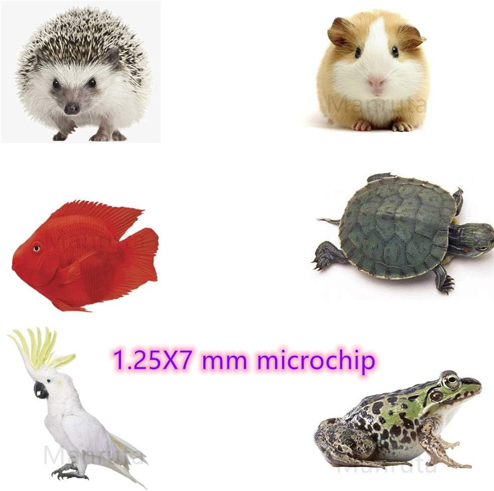 Microchip ID Bioglass Transponder Tag Injectable with Sharp Needle 5 Pack Mini S