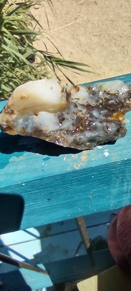 Agate Graveyard Point Specimen Rough Many Possibilities Display Collect
