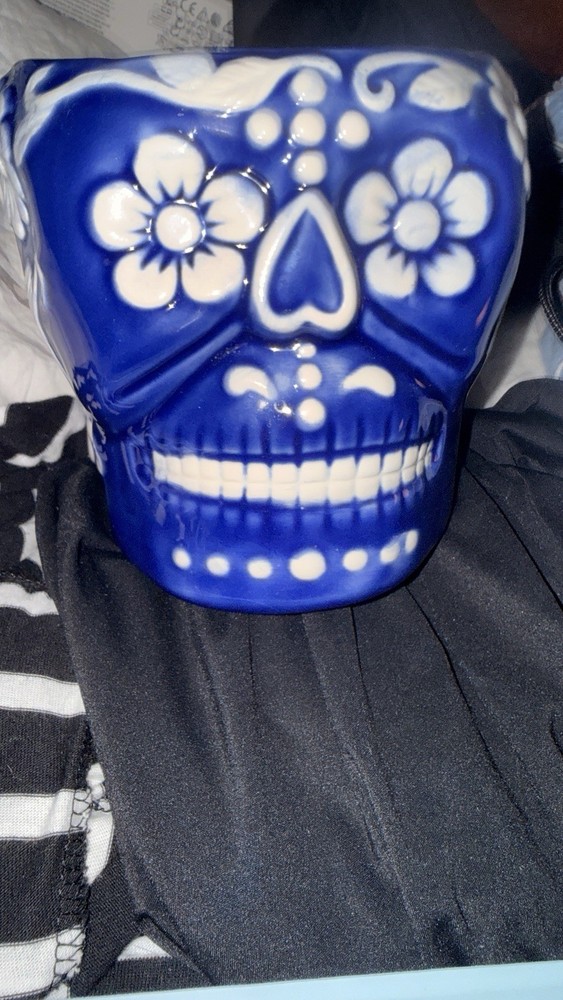 Ceramic Blue And White Skull Planter. Perfect Condition. Medium.
