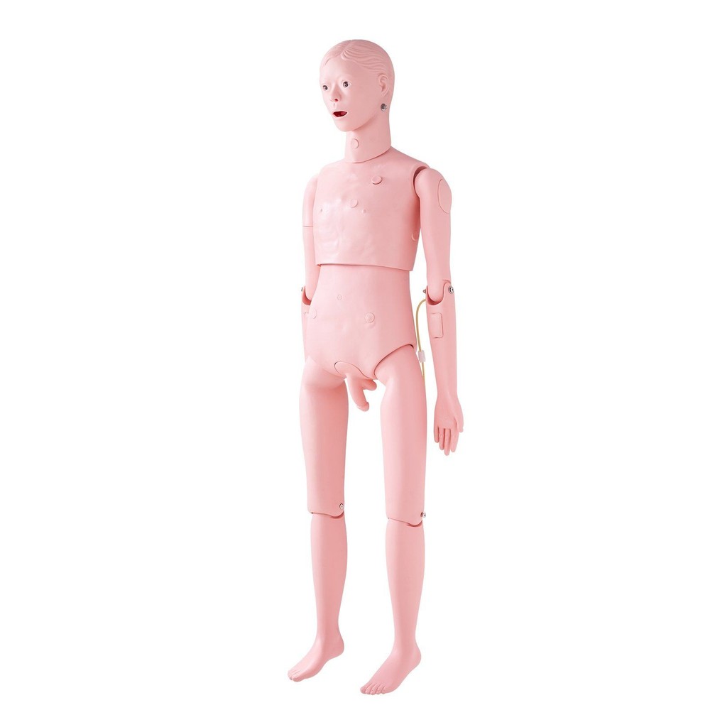 Male Nursing Training System with Realistic Tissue Response and Durability
