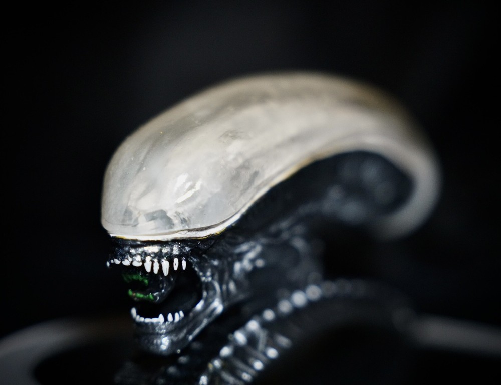 ALIEN XENOMORPH Resin Casted 3 Piece Skull