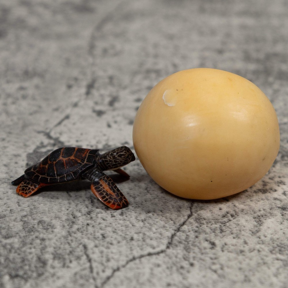 Sea Turtle Emerging From Egg Tagua Carving