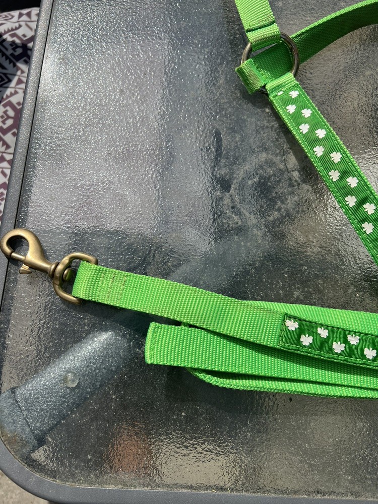 🐴☘️Horse Halter Nylon With Matching Lead Unique