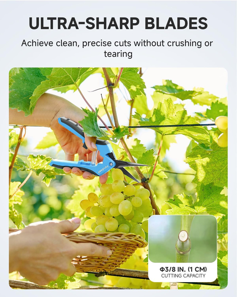 6.5" Trimming Shears Pruning Snips: Precise Gardening Scissors with Curved Micro