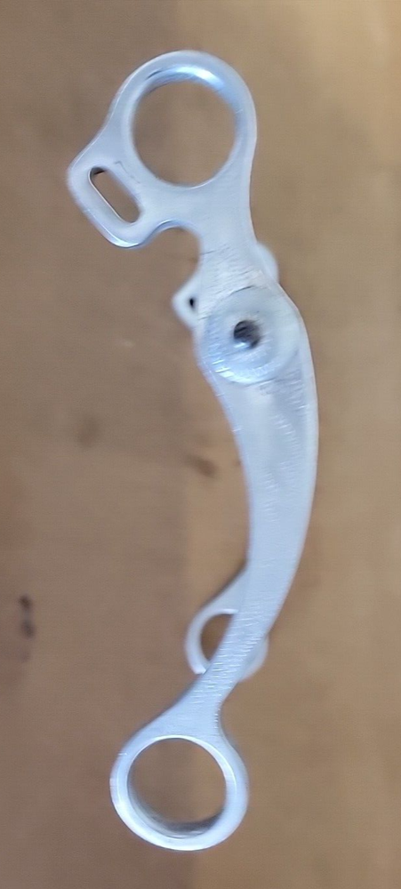 Engraved Ricardo Low Port Horse Bit