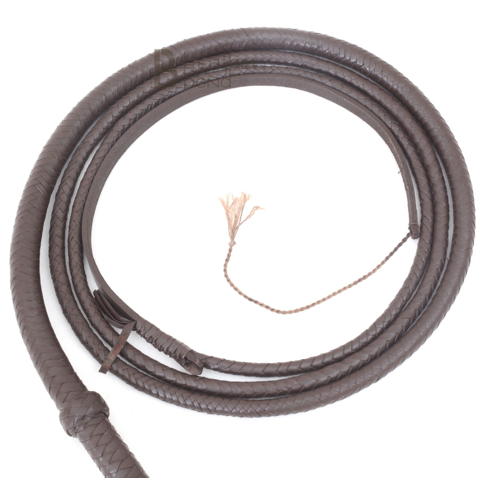 Indiana Jones 6, 8, 10, 12 Feet 8 Strands Brown Cowhide Real Leather Bullwhip
