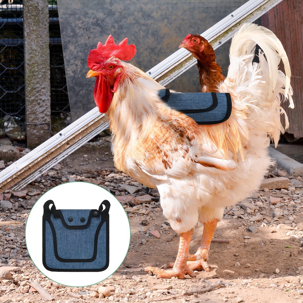 3-Pack Premium Chicken Saddle, Hens Saddle with Adjustable Strap [Blue]