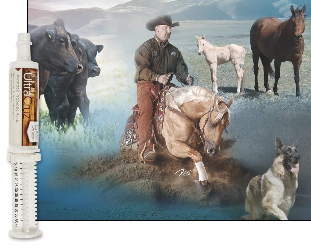 60 ml Paste for 4-Day Supply | Effective Solution for Your Needs