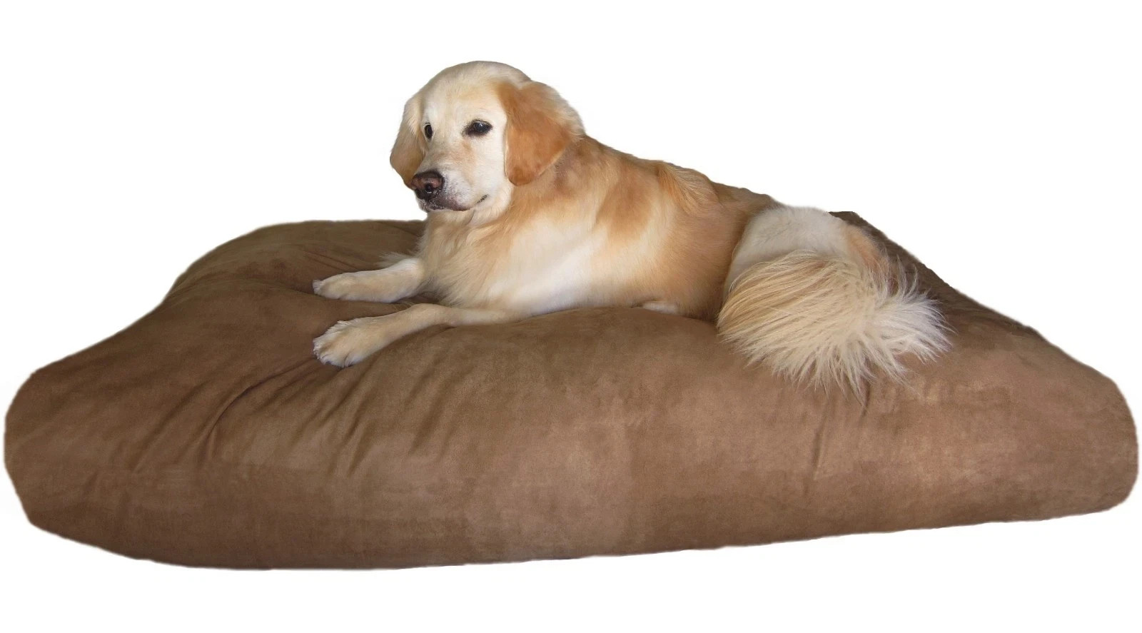 JUMBO Extra Large Mix Memory Foam Pet Dog Bed Pillow Canvas Waterproof Cover XL