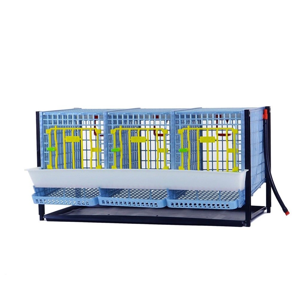 Partridge Cage - Layer addition