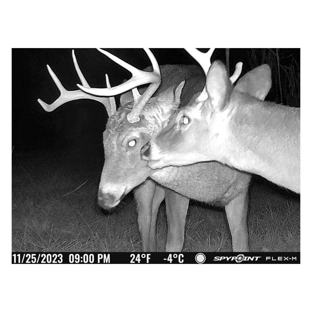 SPYPOINT Flex-M Twin Cellular Trail Camera (FLEX-M-TWIN)