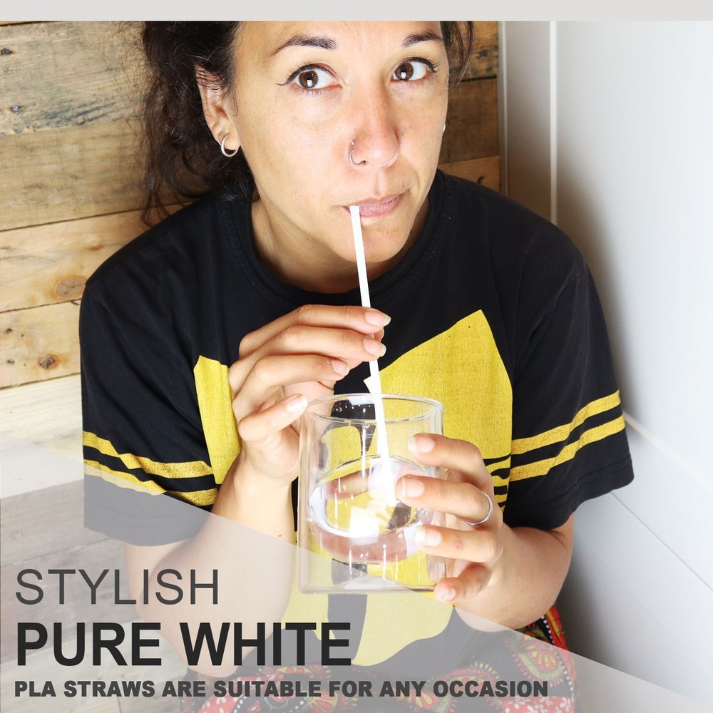 80 PLA Straws - 100% Compostable in Under Three Months