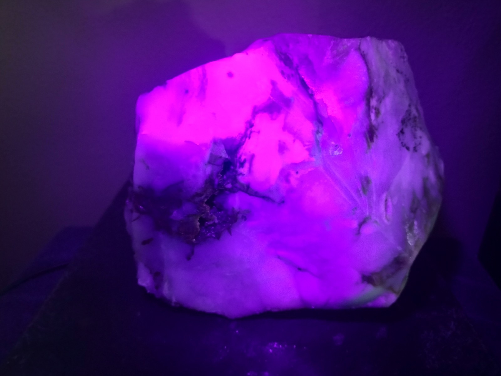 11.7LB UV Polka Dot Agate Rough From Ashwood, OR USA Cabochon/Slab Stock #25