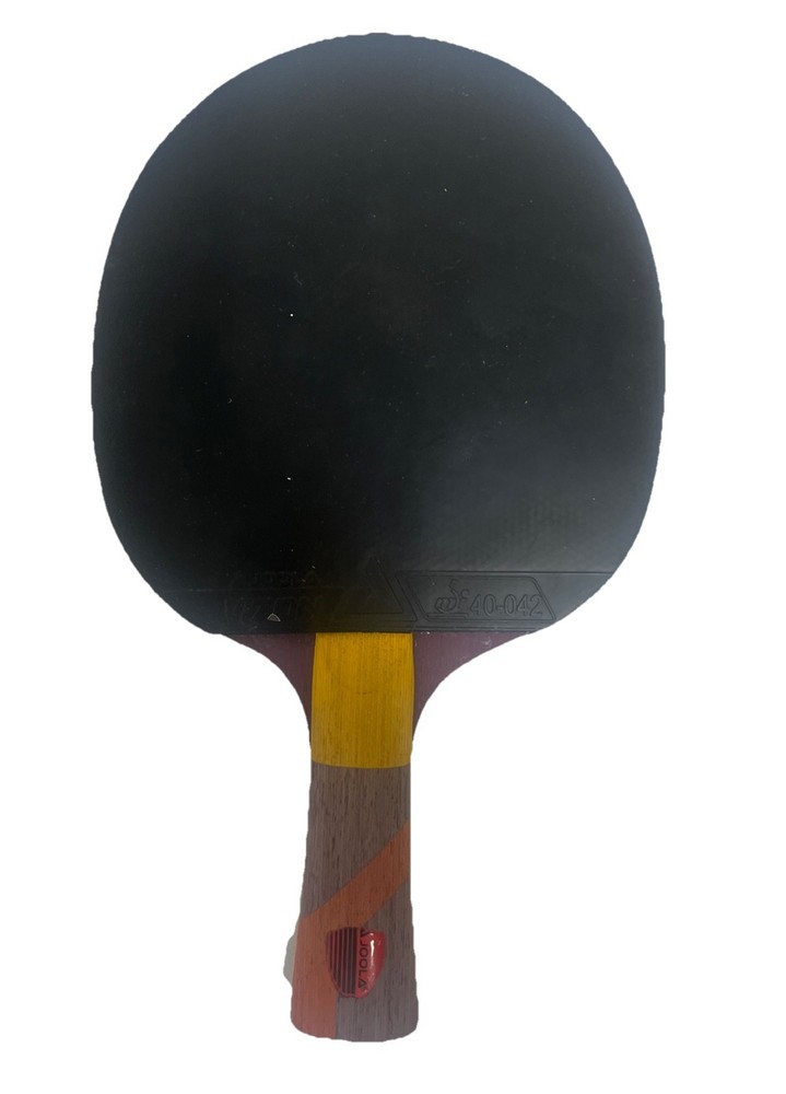 JOOLA Carbon Pro Professional Ping Pong