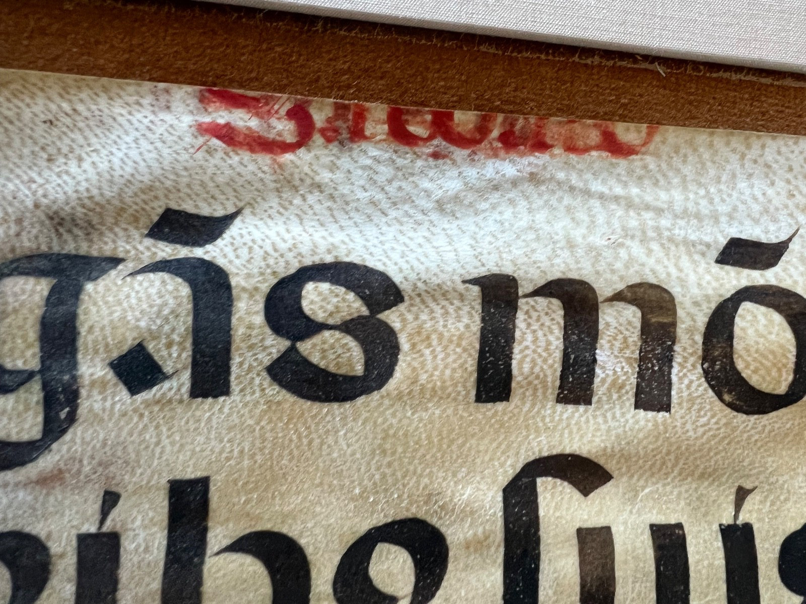 Rare Museum Large 15th century Illuminated Manuscript Leaf on Parchment