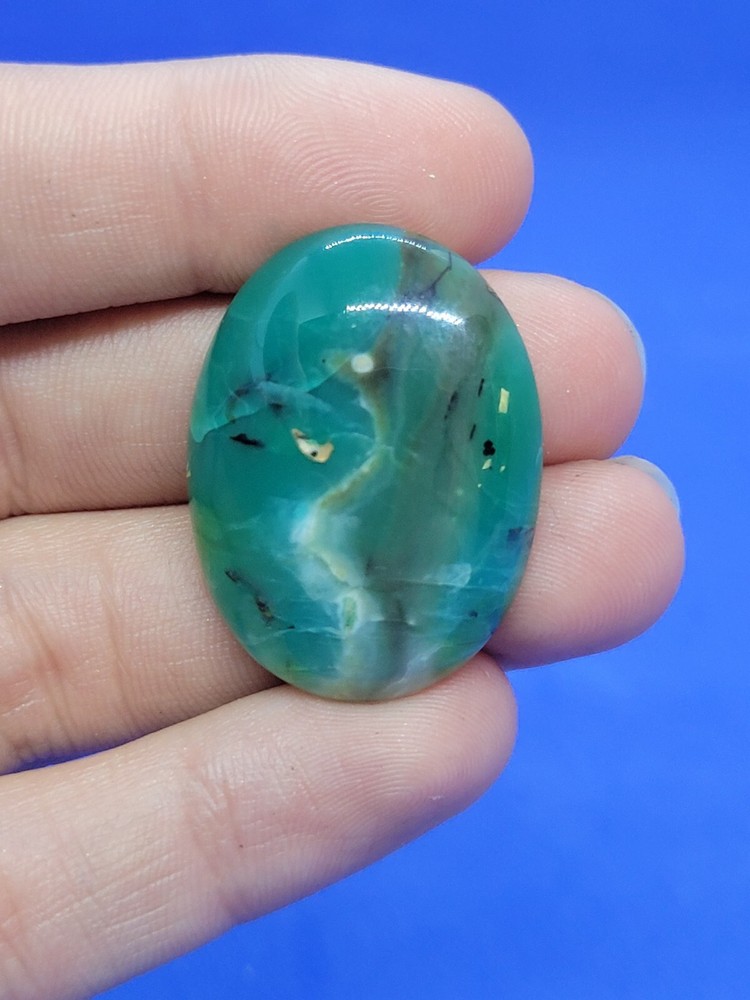 Indonesian Blue Opalized Petrified Wood Cabochon
