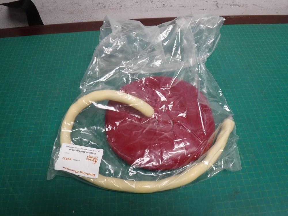 Laerdal PROMPT Flex Birthing Simulator