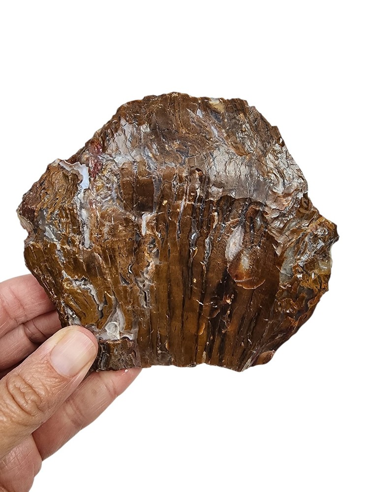 Agate Faced End Slab 210.1 grams.