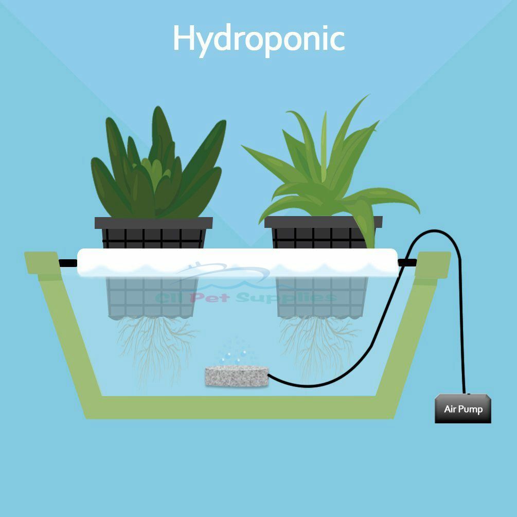 Aquarium Air Stones 2"x2" Cylinder Fish Tank Bubbler for Hydroponics 2PCS