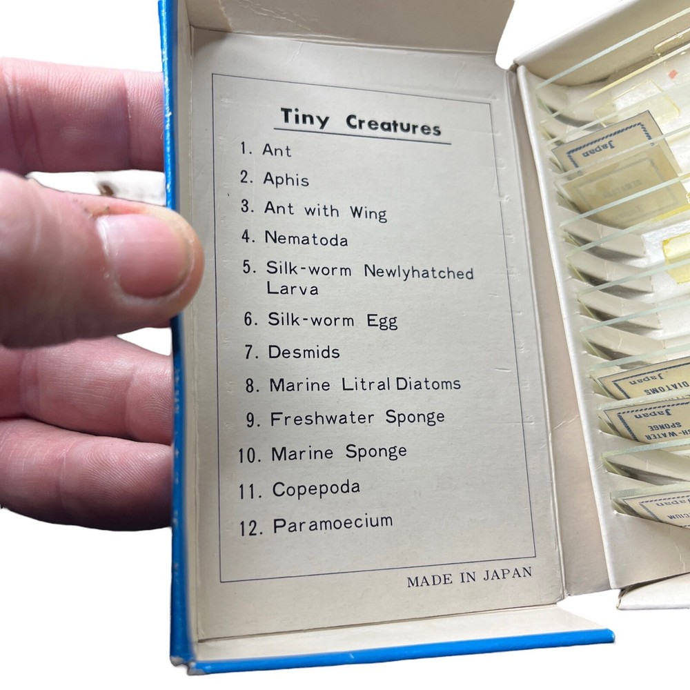 Vintage MICROSCOPE PREPARED SLIDES~2 Sets Vegetables & Tiny Creatures~Made Japan