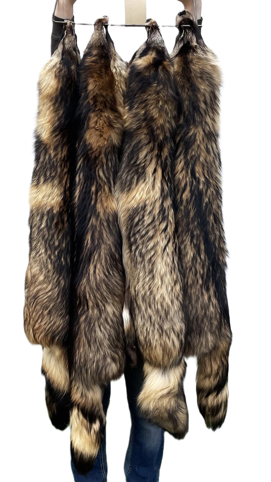 Massive Finnish-Coon Pelt, Tanned