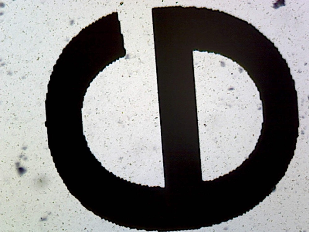 Printed Lowercase Letter "e"; Whole-mount