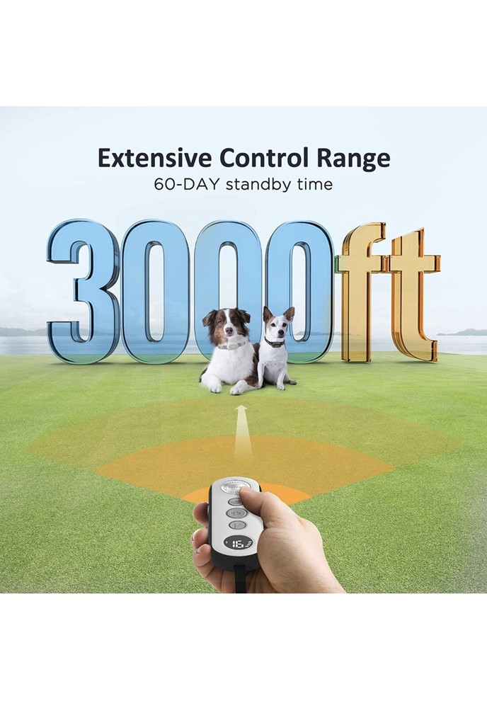 dog shock collar with remote