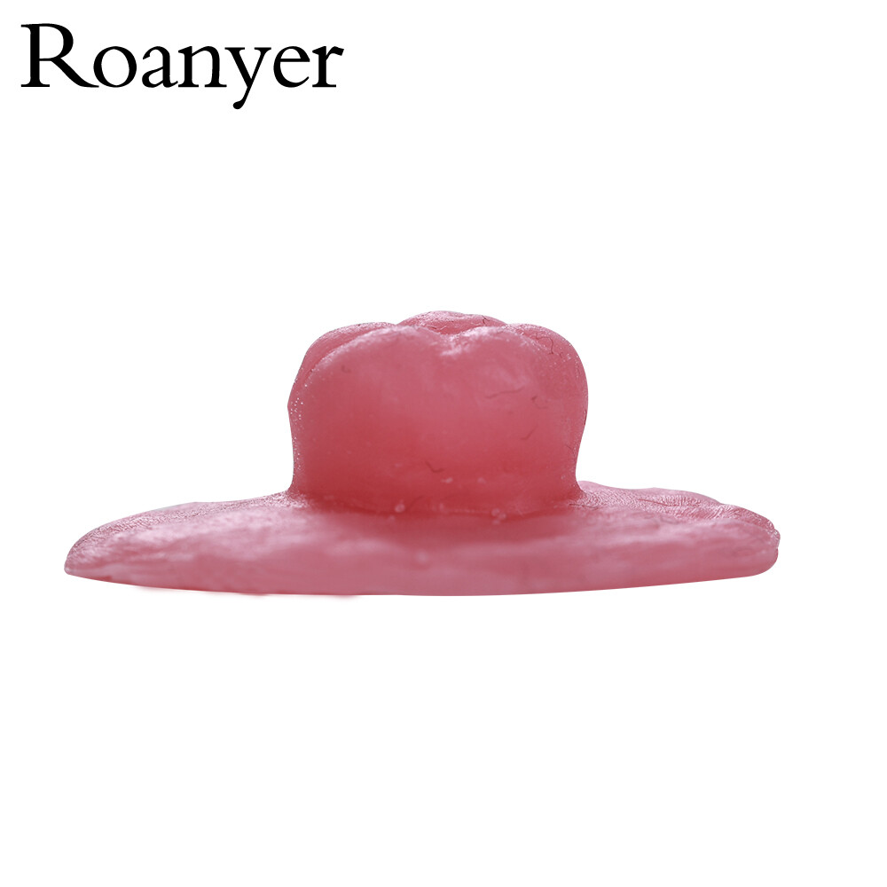 Roanyer 2PCS Silicone Fake Breast Nipples Enhancer Covers Reusable for Cosplay
