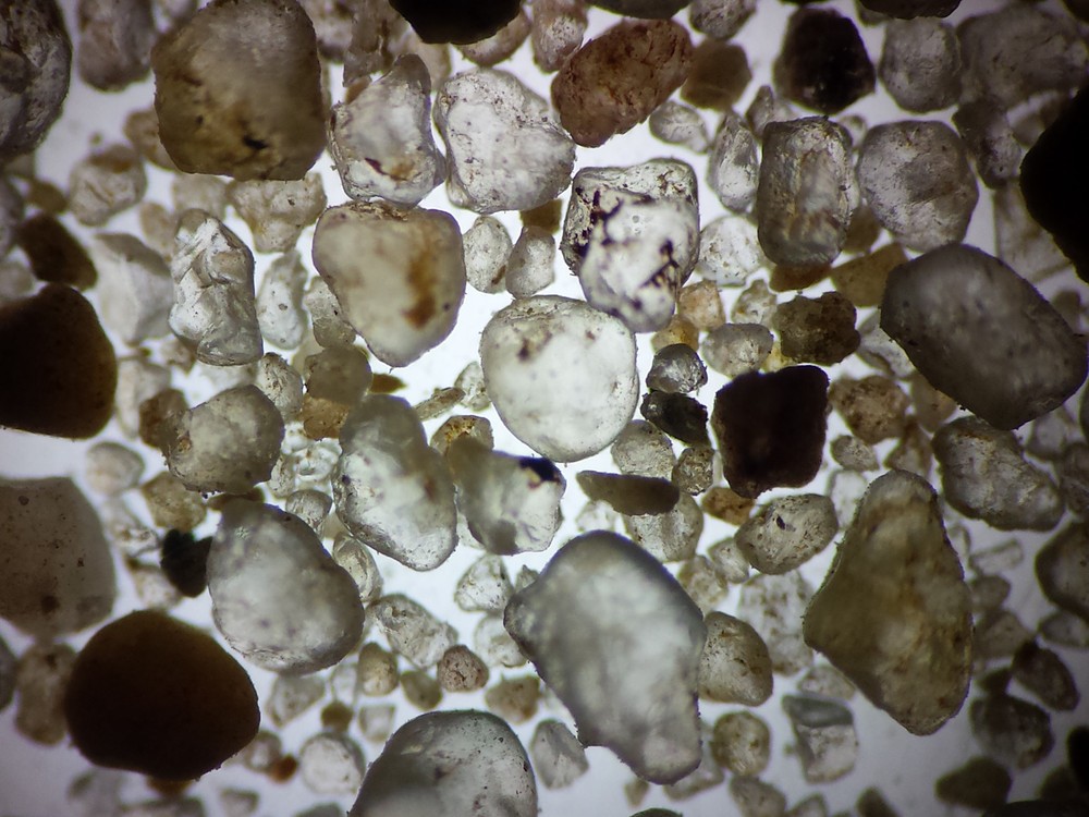 Microscope 32 mm Polarizing Filter Set - Affordable Must Have Accessory Set!